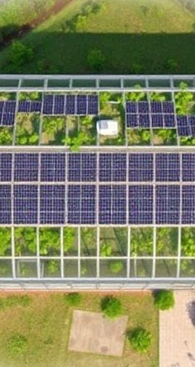 {"prompt":"bird's eye photo of the greenhouse, the roof features solar panels that cover 30 percent of the greenhouse","originalPrompt":"bird's eye photo of the greenhouse, the roof features solar panels that cover 30 percent of the greenhouse","width":1024,"height":576,"seed":43,"model":"flux","refine":false,"nologo":true,"negative_prompt":"worst quality, blurry","nofeed":true,"has_nsfw_concept":false,"concept":{"special_scores":{"0":-0.12600000202655792,"1":-0.10599999874830246,"2":-0.15199999511241913},"special_care":[],"concept_scores":{"0":-0.10999999940395355,"1":-0.1080000028014183,"2":-0.10300000011920929,"3":-0.08299999684095383,"4":-0.09600000083446503,"5":-0.0820000022649765,"6":-0.07900000363588333,"7":-0.10599999874830246,"8":-0.10400000214576721,"9":-0.14399999380111694,"10":-0.11699999868869781,"11":-0.0949999988079071,"12":-0.0989999994635582,"13":-0.12600000202655792,"14":-0.13500000536441803,"15":-0.11500000208616257,"16":-0.08299999684095383},"bad_concepts":[]}}